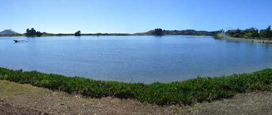 view from the studio deck at high tide in the estuary at Karitane